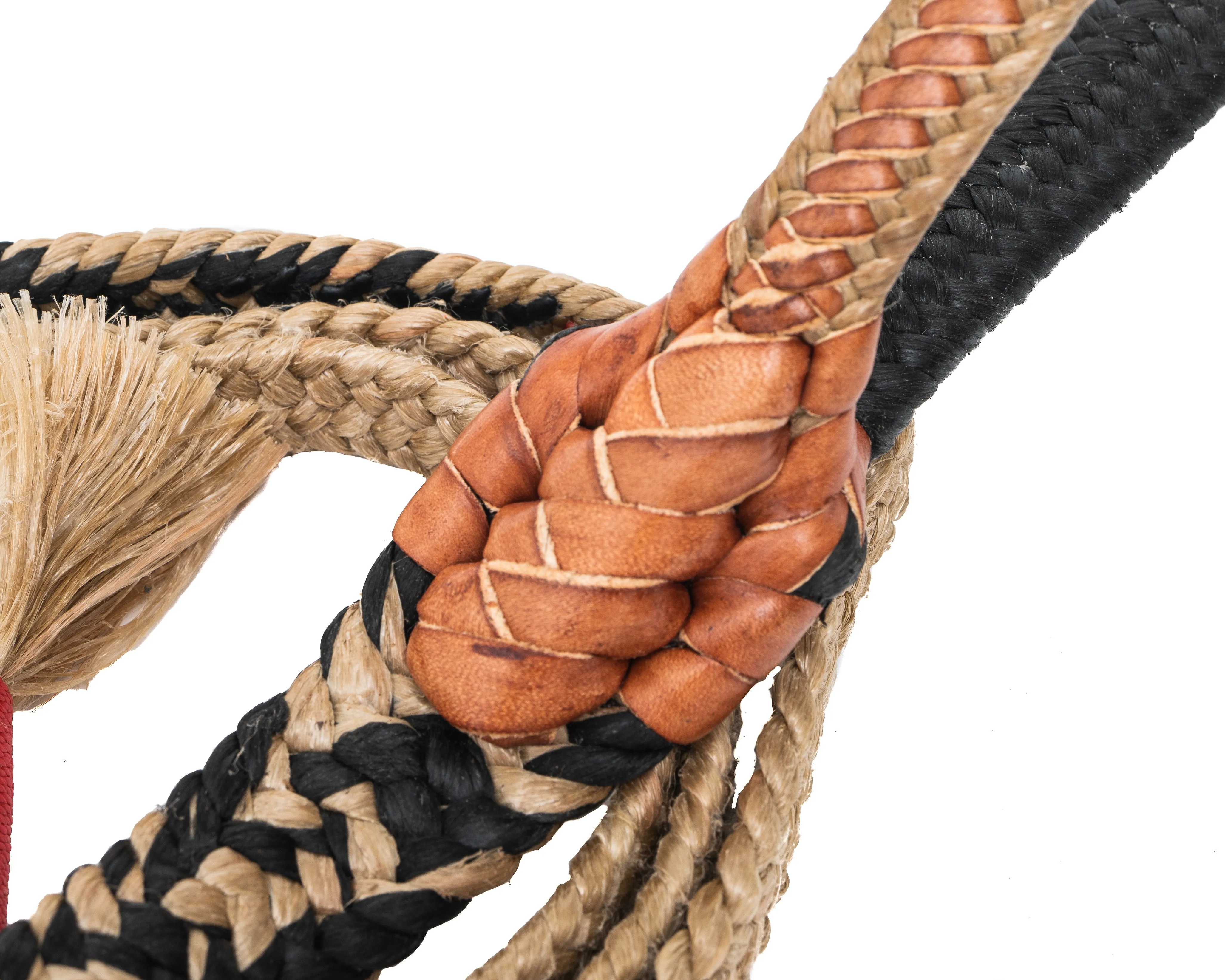 Beastmaster True Brazilian Steer Rope