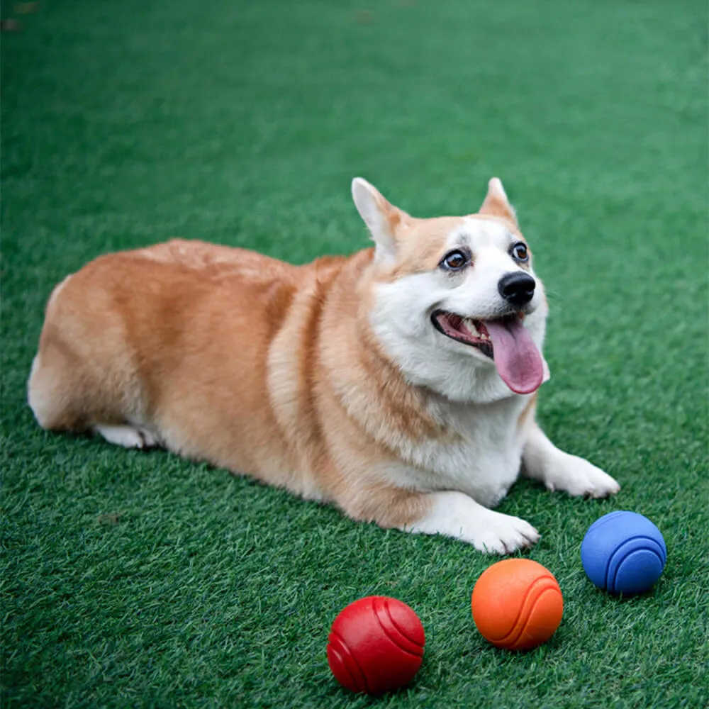 Elastic Squeaky Ball Toy Floating Water Ball Dog Chew Toy