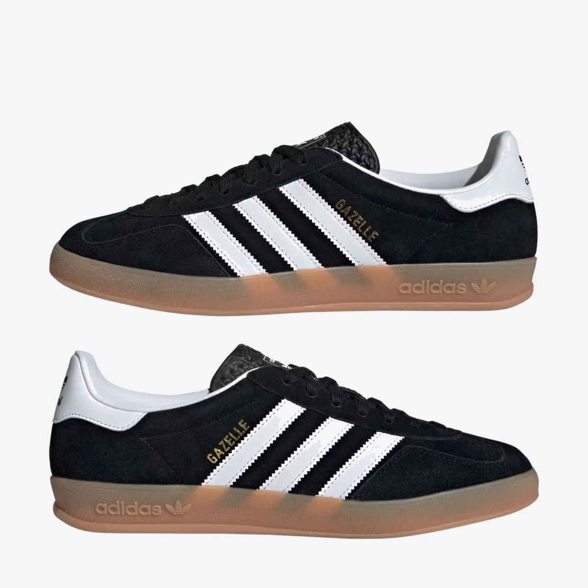 Gazelle Indoor