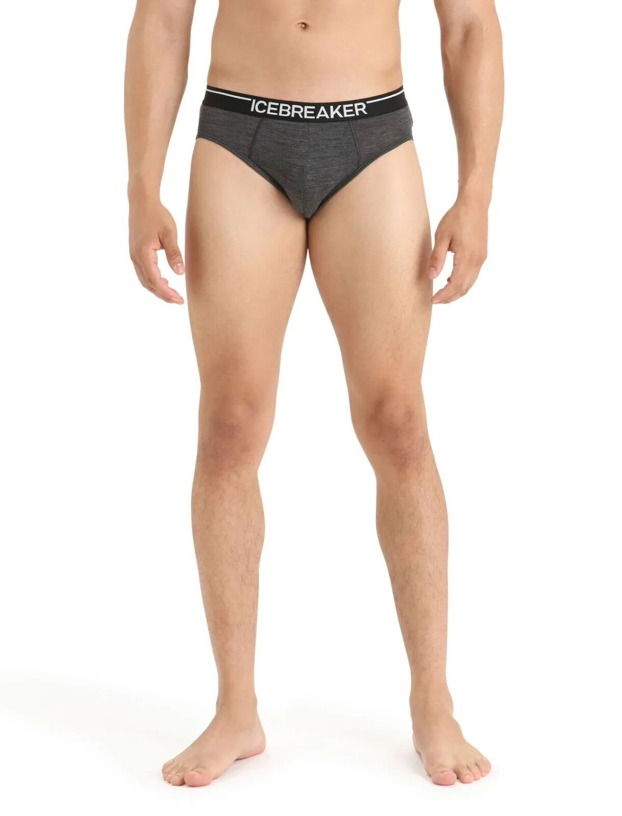 Icebreaker Merino Anatomica Men's Briefs Size: Small