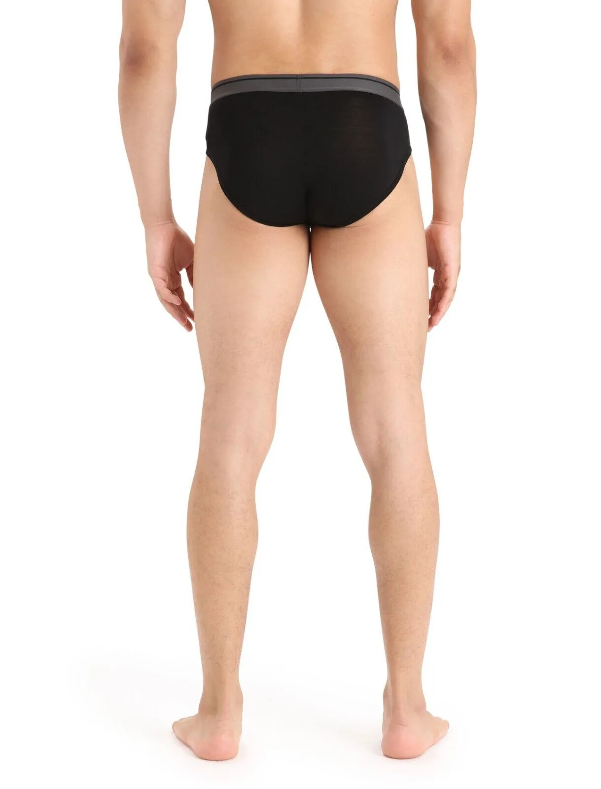 Icebreaker Merino Anatomica Men's Briefs Size: Small