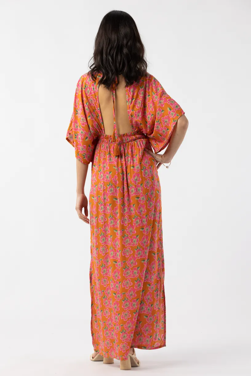 Levine Maxi Dress