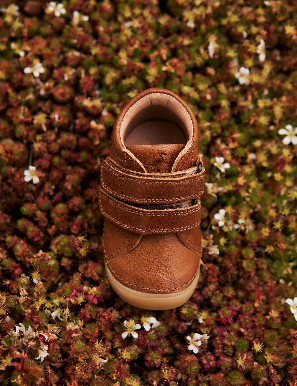 Mini Bootie Velcro - Cognac