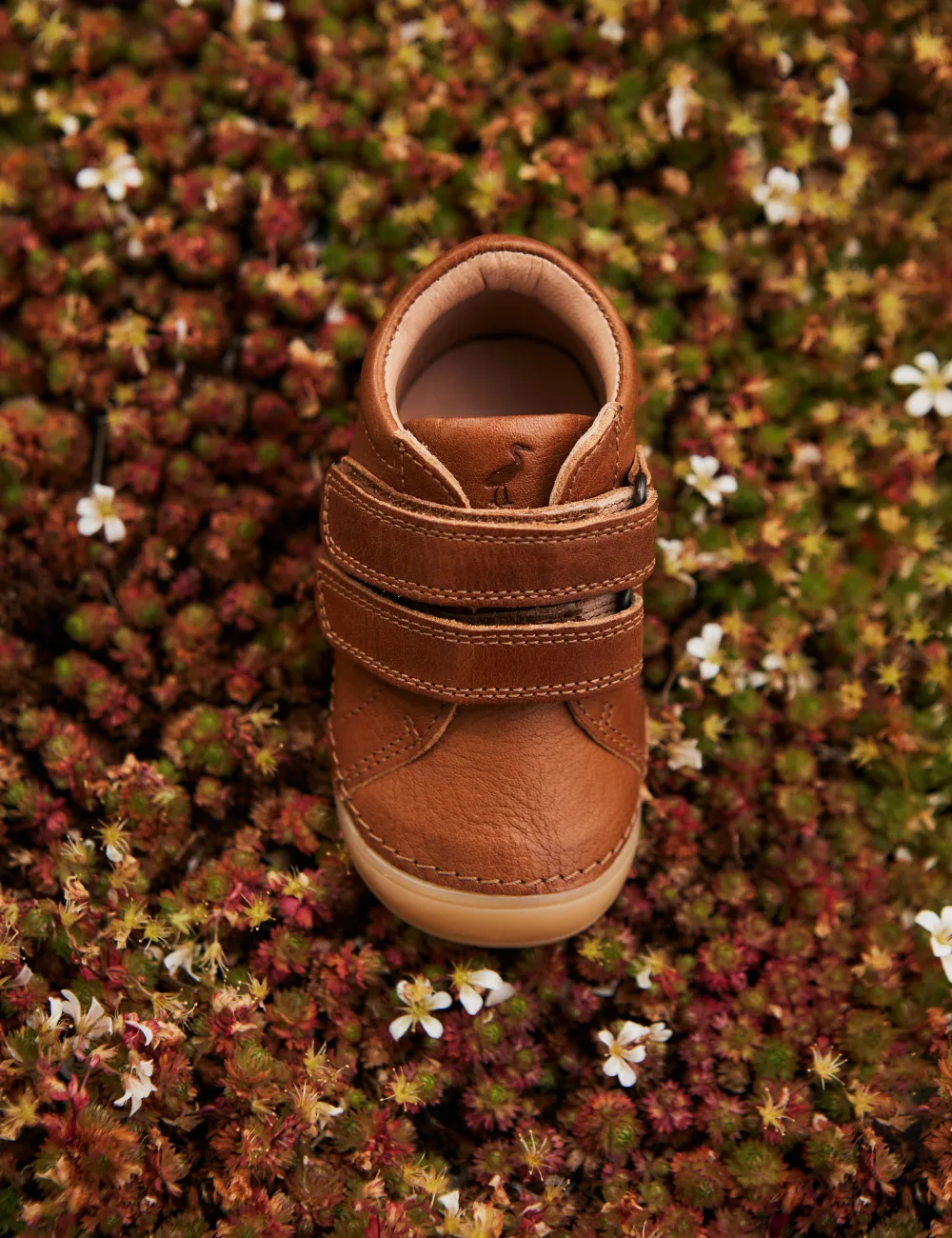 Mini Bootie Velcro - Cognac